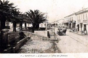 Guyotville - Abreuvoir et Allee des Palmiers